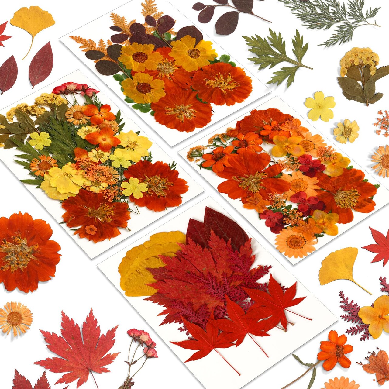 Fall Dried Pressed Flowers,100 Pcs Autumn Dried Flowers Leaves for Resin Molds Real Pressed Flowers for Crafts DIY Jewelry Molds, Scrapbooking, Candle